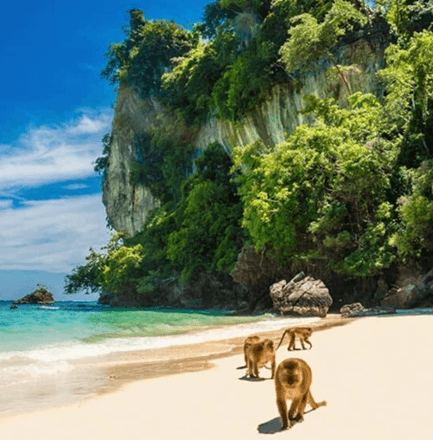 Visit Monkey Beach