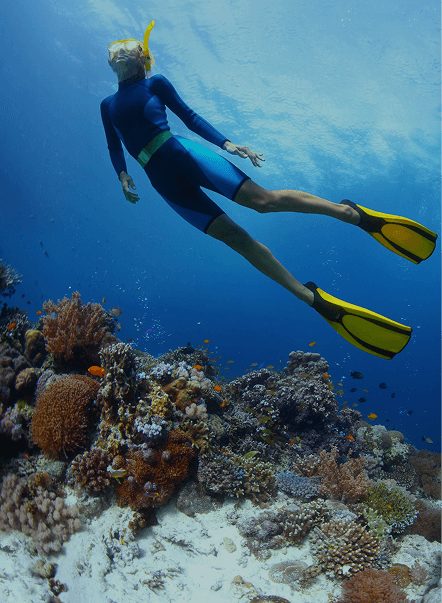 Snorkeling in Phuket