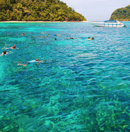 Snorkeling & Diving