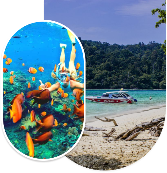 Marine Wonders