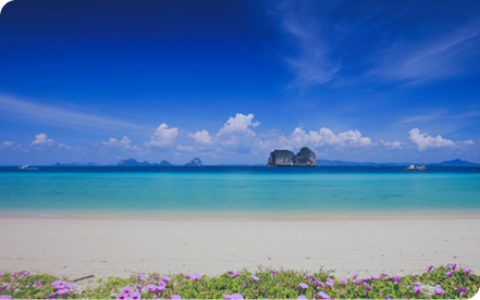 Ko Ngai