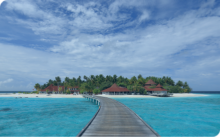Coral Island
